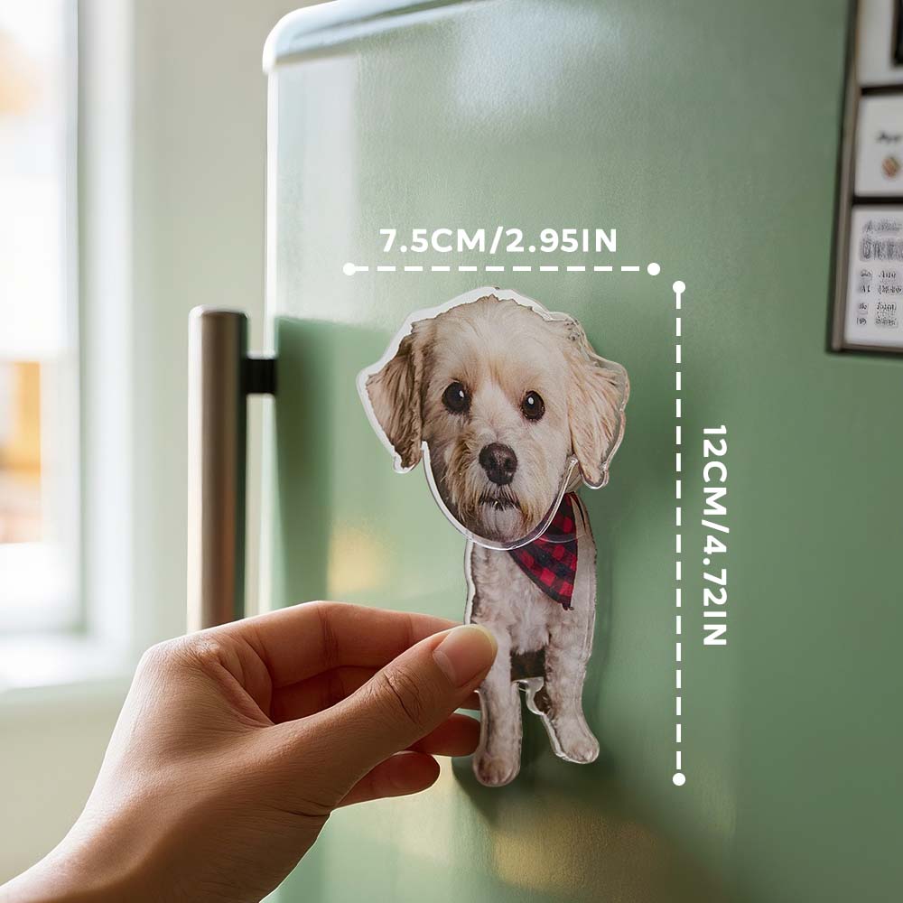 Personalized Refrigerator Magnet with Photo Pet Portrait Fridge Magnets