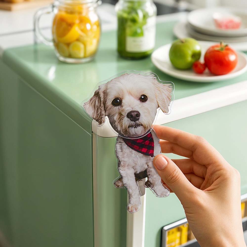 Personalized Refrigerator Magnet with Photo Pet Portrait Fridge Magnets