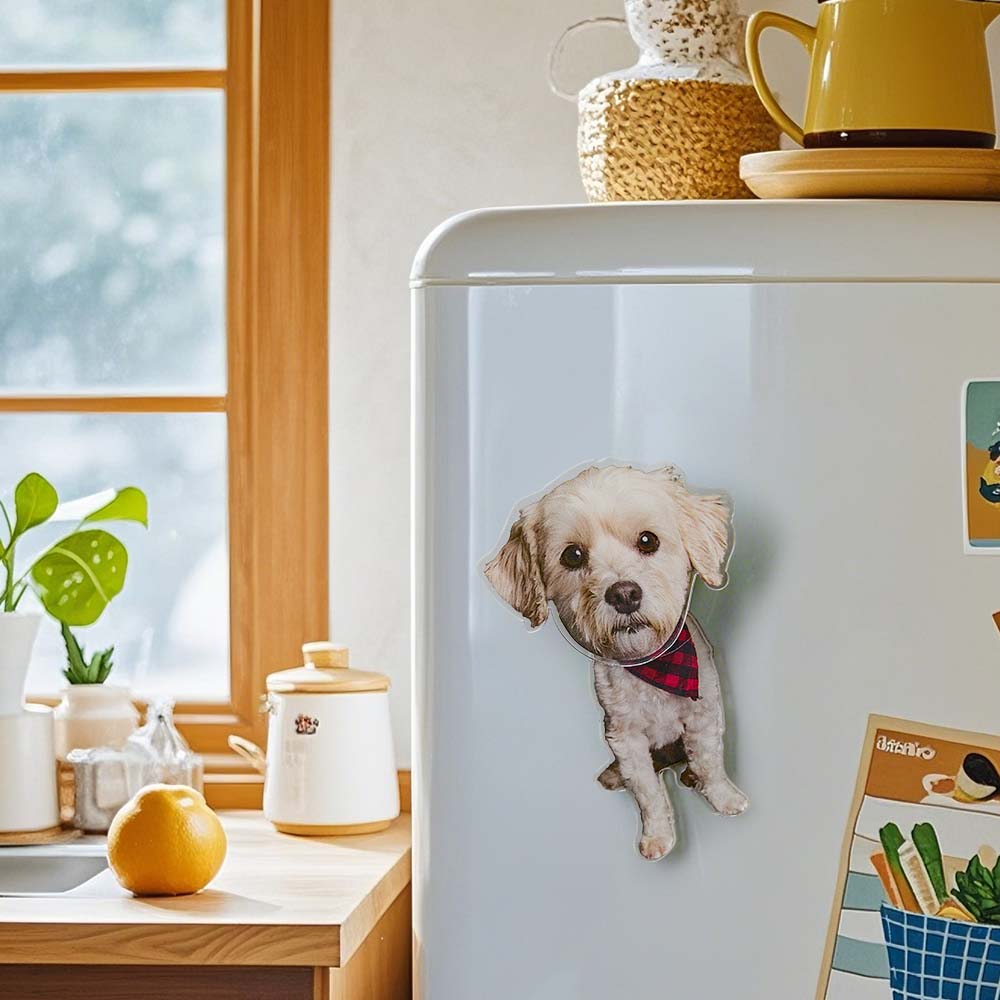 Personalized Refrigerator Magnet with Photo Pet Portrait Fridge Magnets